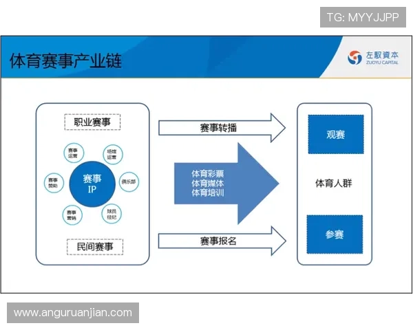 选择e尊体育娱乐平台的理由及其在行业中的竞争优势全面解析